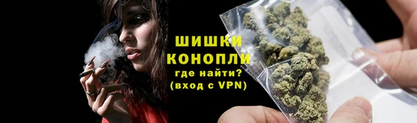 трава Белокуриха