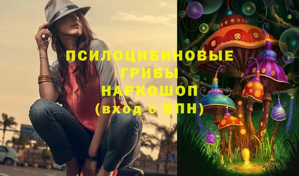 трава Белокуриха
