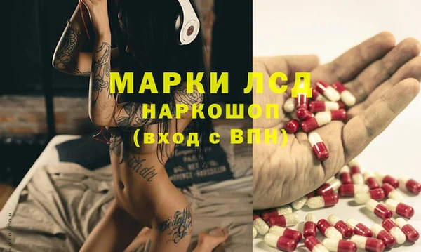 трава Белокуриха