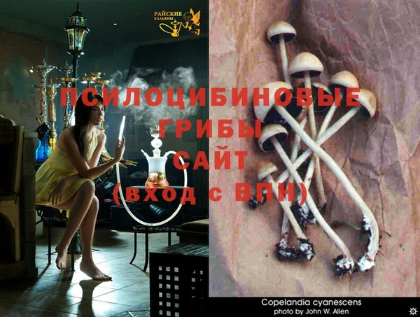 крисы Беломорск