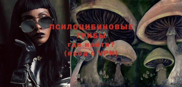 крисы Беломорск