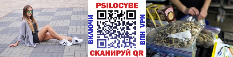 даркнет сайт  Каргат  Галлюциногенные грибы Magic Shrooms 